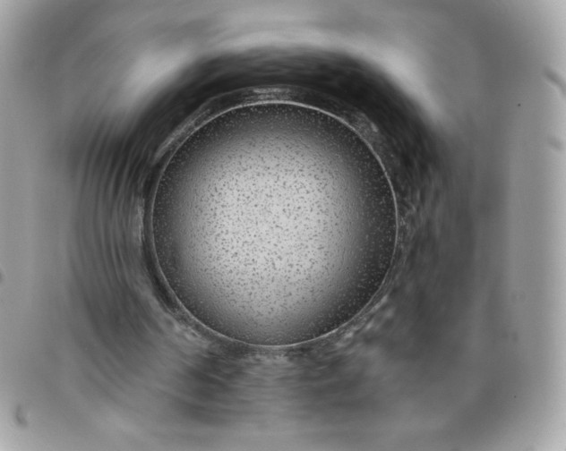 X0000097750194200803211659