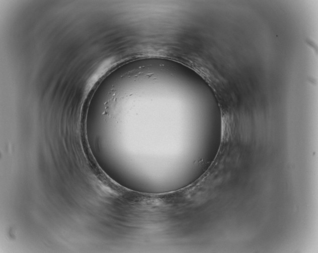 X0000097750195200803211659