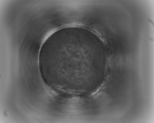 X0000097750196200803211659