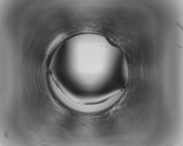 X0000097750197200803211659