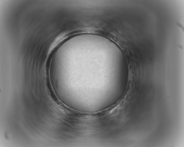 X0000097750198200803211659