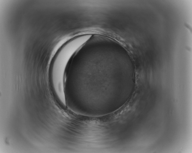 X0000097750200200803211659