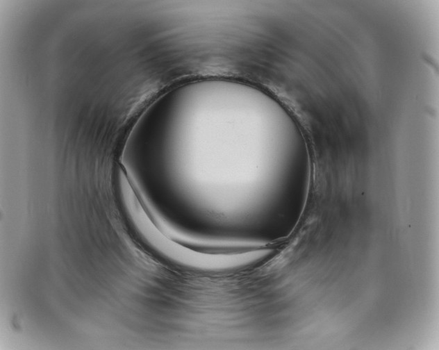 X0000097750201200803211659