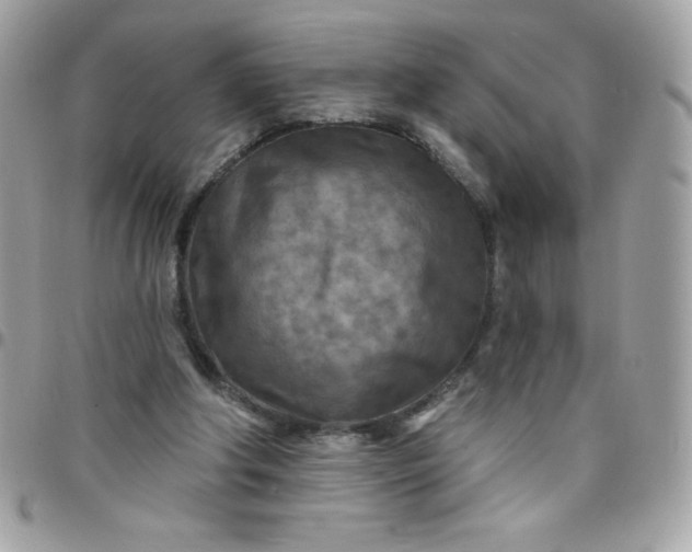 X0000097750202200803211659