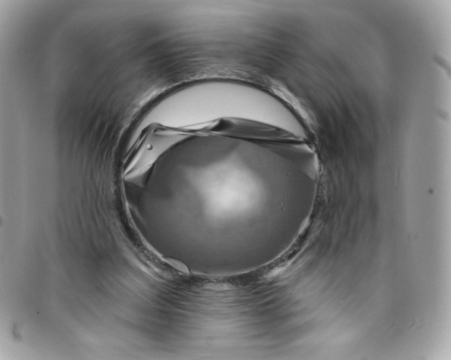 X0000097750203200803211659