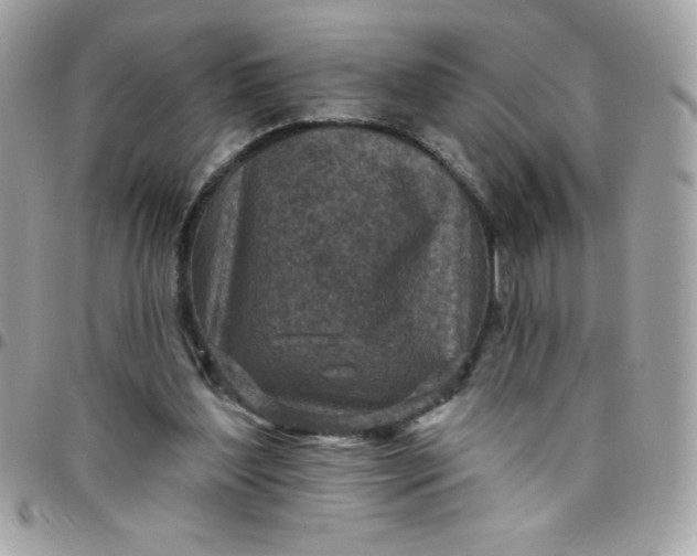 X0000097750204200803211659