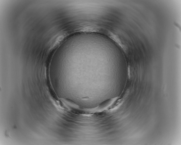 X0000097750205200803211659