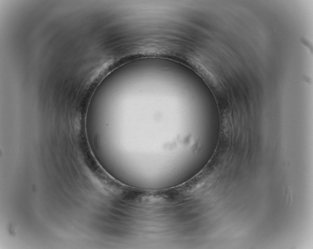 X0000097750208200803211659