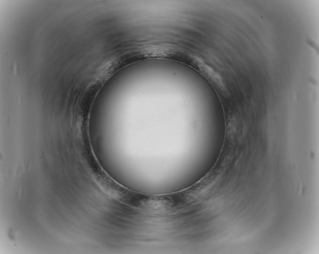 X0000097750209200803211659