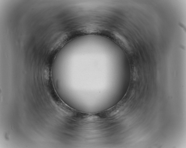 X0000097750210200803211659