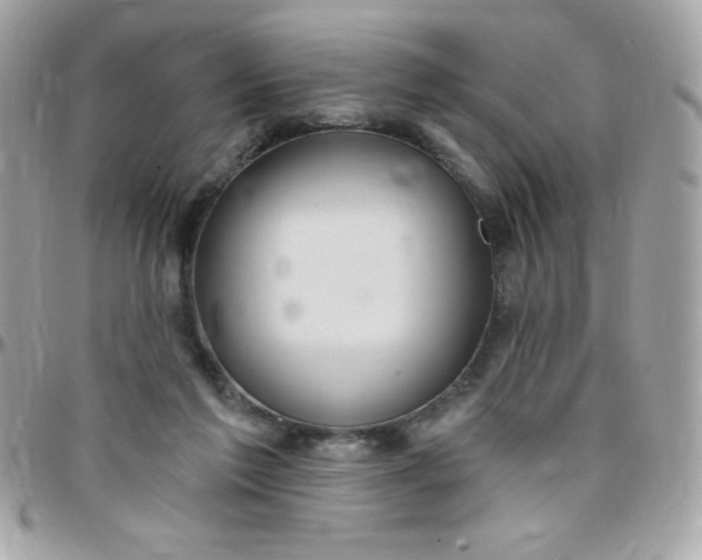 X0000097750213200803211659