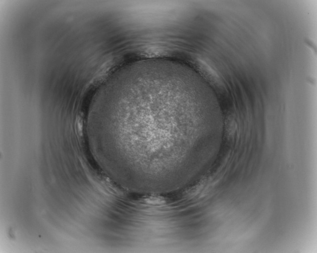 X0000097750214200803211659