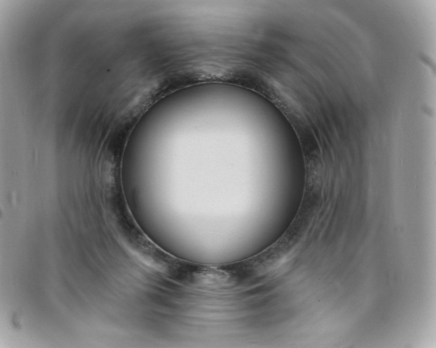 X0000097750215200803211659