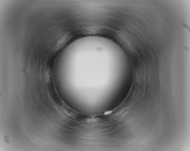 X0000097750216200803211659