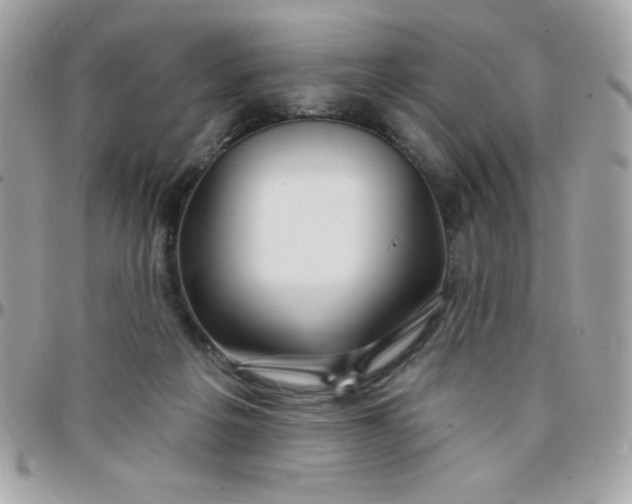 X0000097750217200803211659