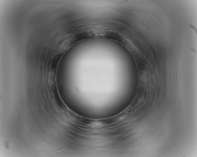 X0000097750218200803211659