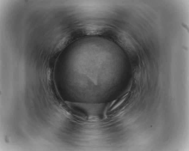 X0000097750219200803211659