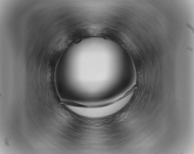 X0000097750221200803211659