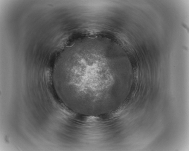 X0000097750222200803211659