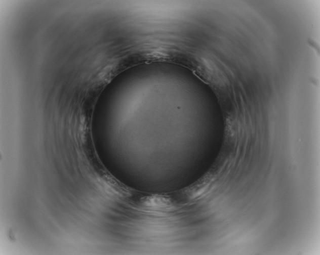 X0000097750223200803211659