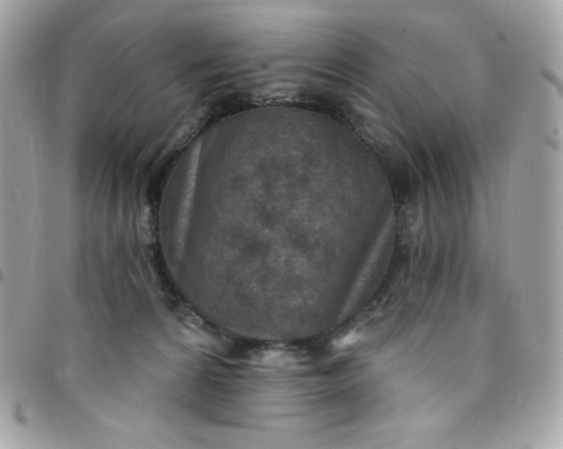 X0000097750224200803211659