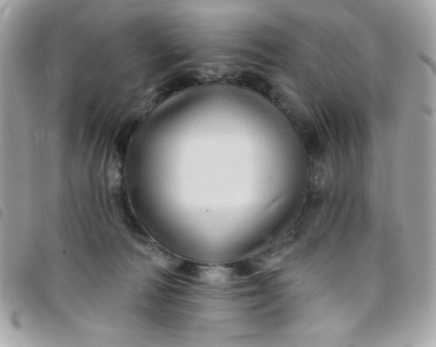 X0000097750226200803211659