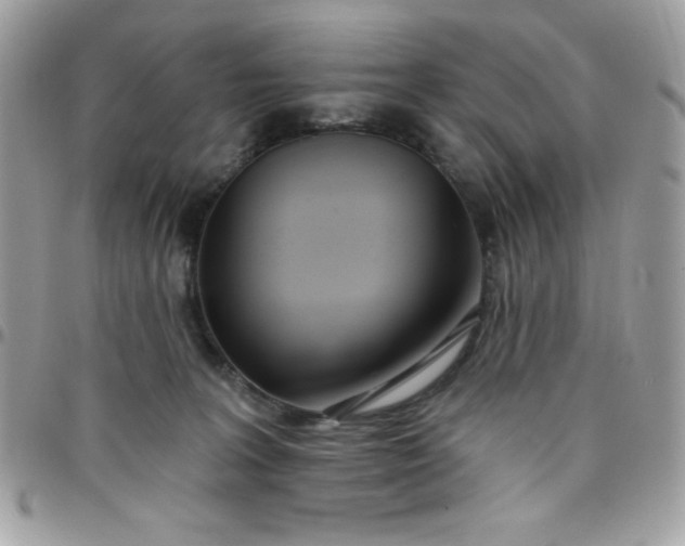 X0000097750227200803211659