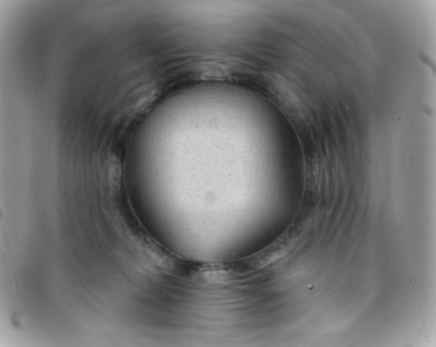 X0000097750228200803211659