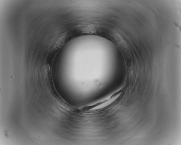 X0000097750229200803211659