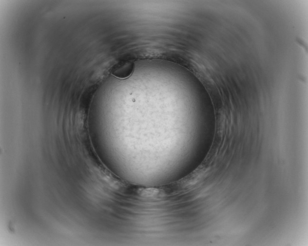 X0000097750230200803211659