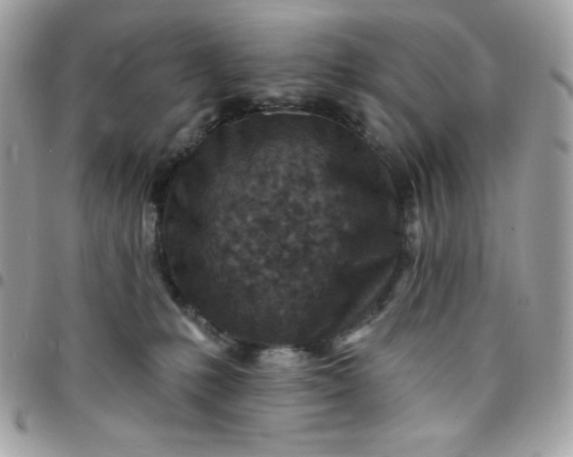 X0000097750231200803211659