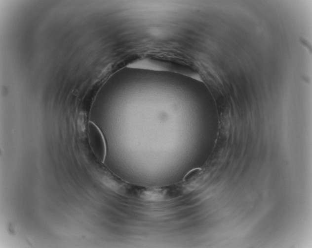 X0000097750232200803211659