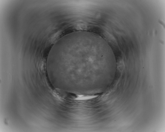 X0000097750233200803211659