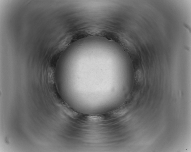 X0000097750234200803211659