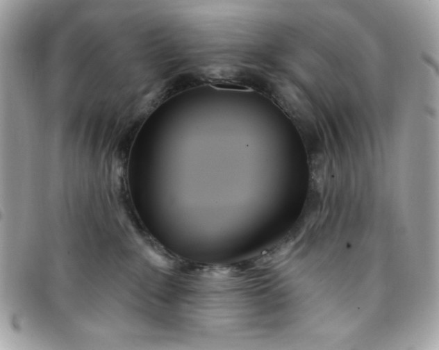 X0000097750235200803211659