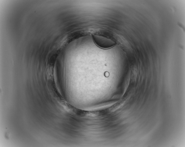 X0000097750236200803211659