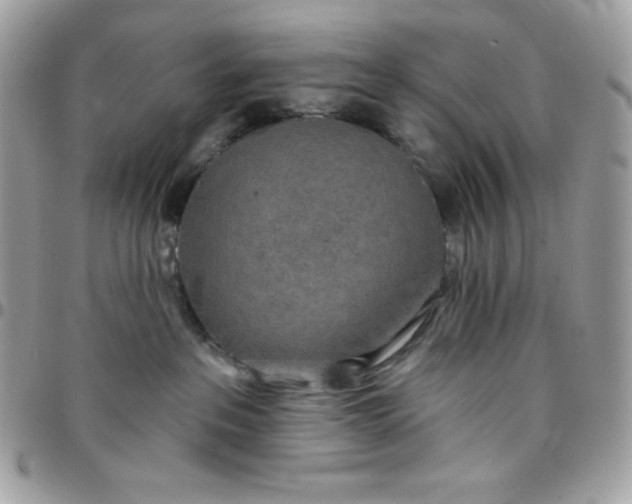 X0000097750237200803211659