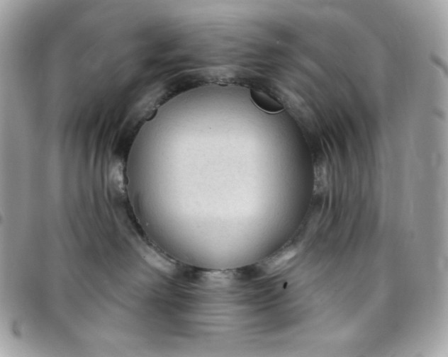 X0000097750238200803211659