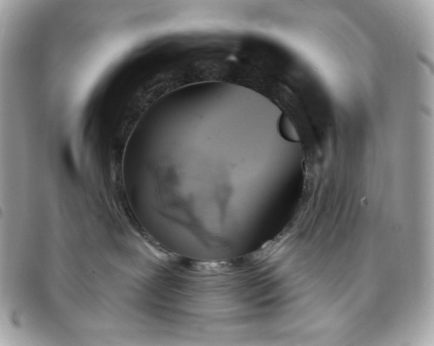 X0000097750239200803211659