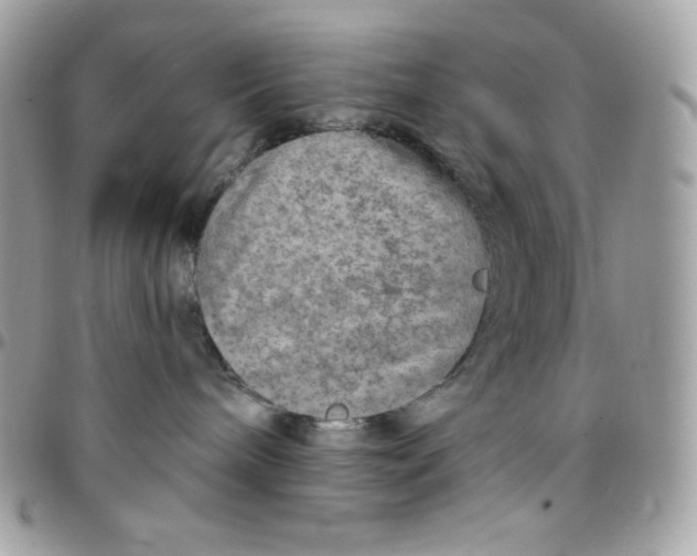 X0000097750240200803211659