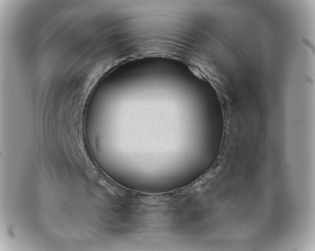 X0000097750241200803211658