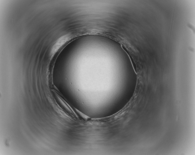 X0000097750242200803211658