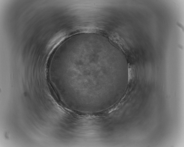 X0000097750243200803211658