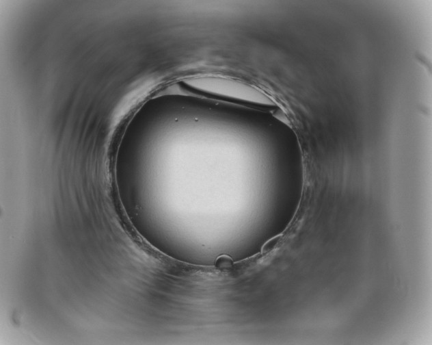 X0000097750245200803211658