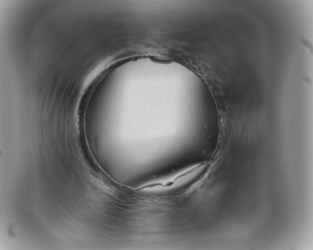 X0000097750246200803211658