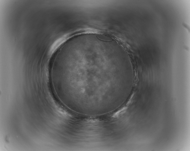 X0000097750247200803211658