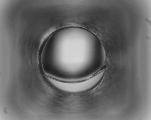 X0000097750248200803211658