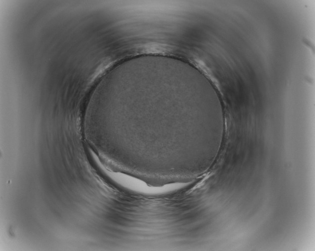 X0000097750249200803211658