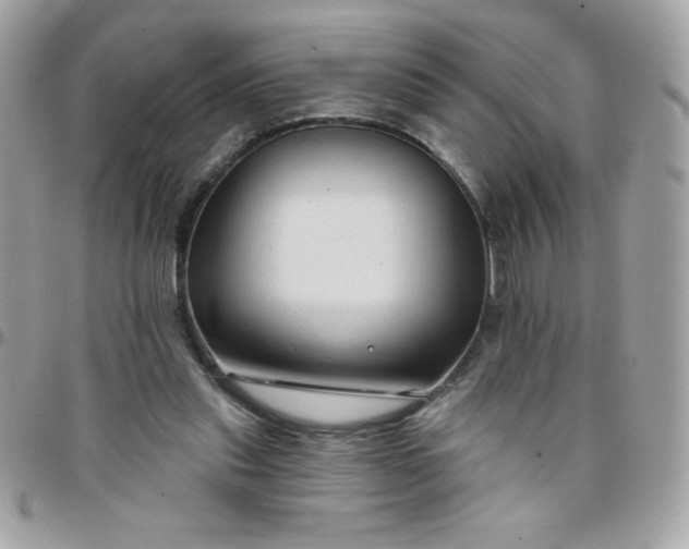 X0000097750253200803211658