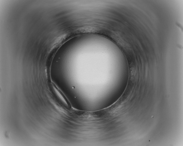 X0000097750254200803211658